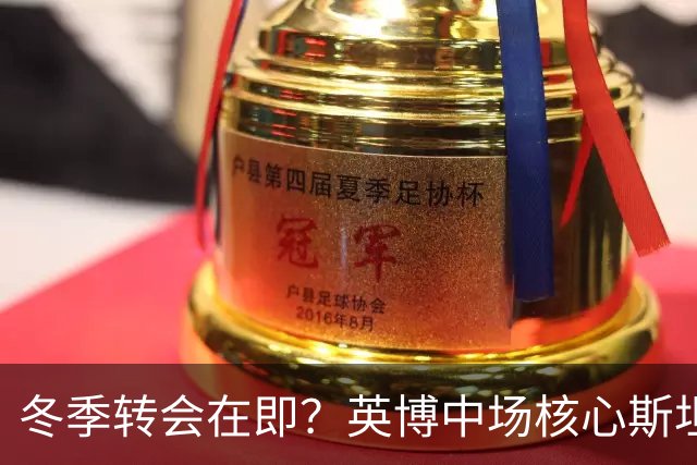 冬季转会在即？英博中场核心斯坦丘或将重返罗马尼亚