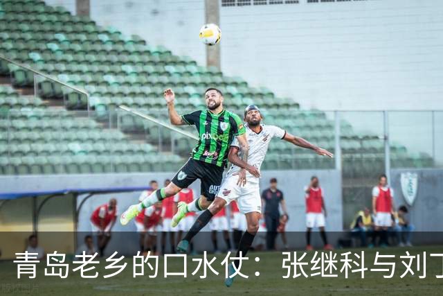 青岛老乡的口水仗：张继科与刘丁硕间的网络对决